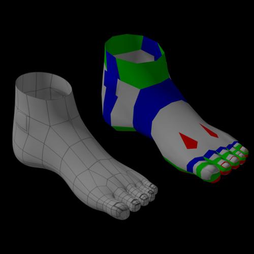 Foot preview image
